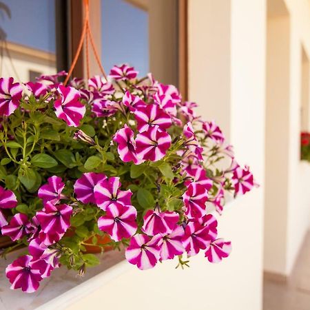 Dafni villa 19 Paralimni Esterno foto