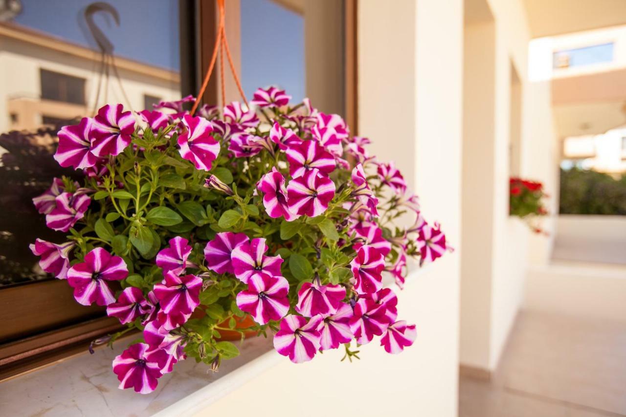 Dafni villa 19 Paralimni Esterno foto